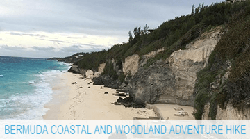 bermuda_coastal_and_woodland_adventure_hike_gallery_picture_0