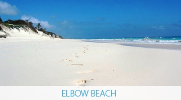 Elbow Beach - Bermuda Explorer