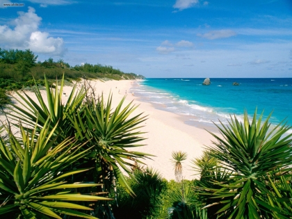 Bermuda Island Tour - bermuda beach