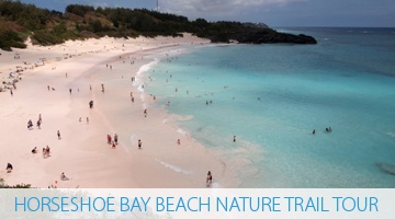 Horseshoe Bay Beach Nature Trail Tour - Bermuda Explorer